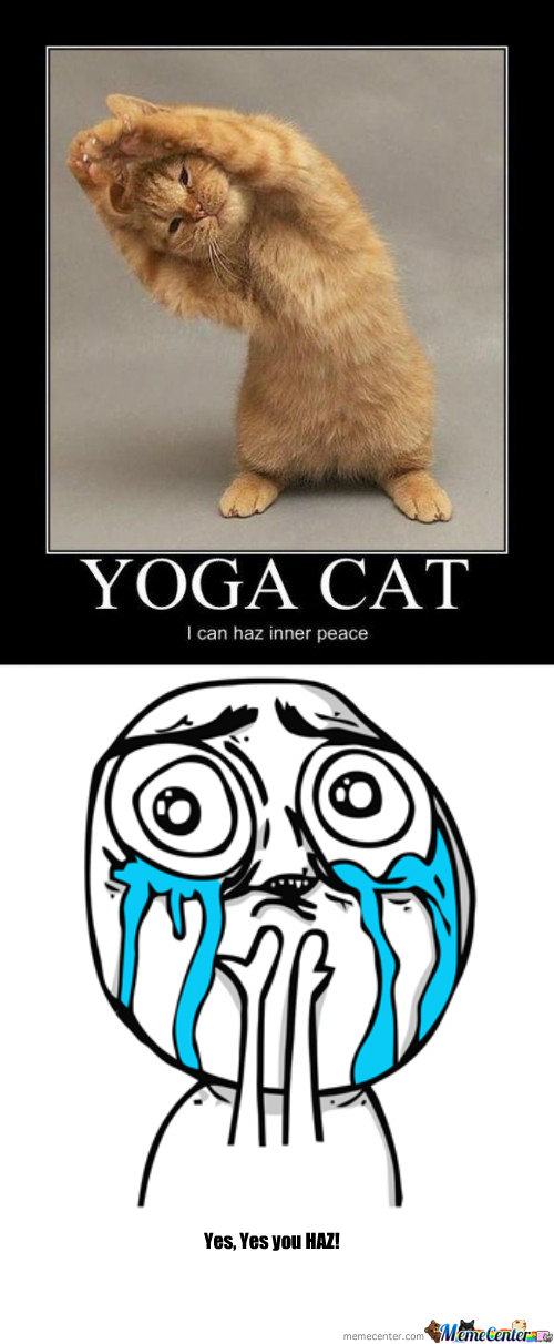 Mood Boosting Yoga Memes That'll Open Your Third Eye - Memebase - Funny  Memes